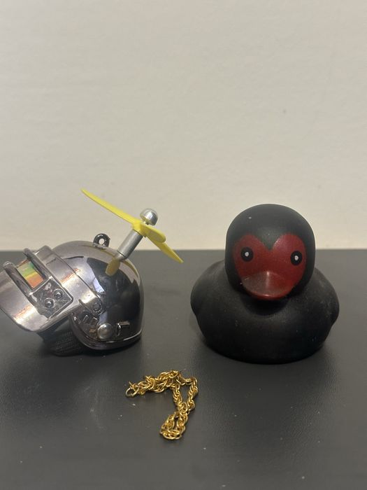 Каченя чорне в шлемі