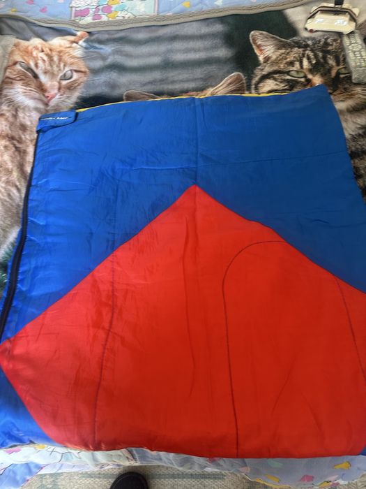 Dois sacos de cama estado novo