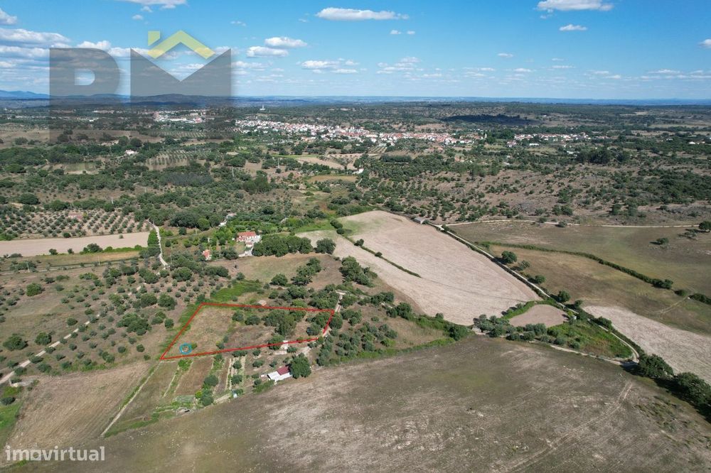 Quintinha  Venda em Escalos de Cima e Lousa,Castelo Branco