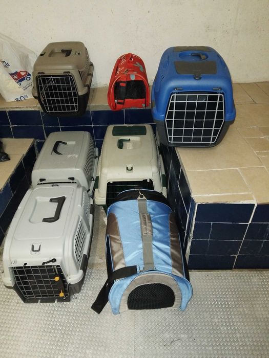 Várias Transportadoras cão, gato ou exoticos