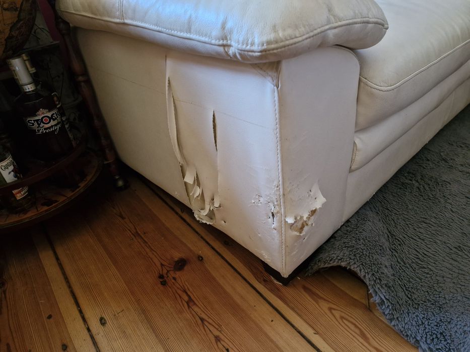 Sofa prawie nowa, pogryziona przez szczeniaka