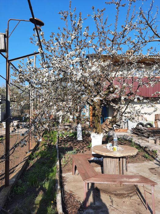 Продам  дачу. Заміський  будинок