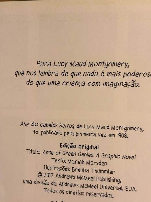 Novela Gráfica - Ana dos Cabelos Ruivos. Livro juvenil.