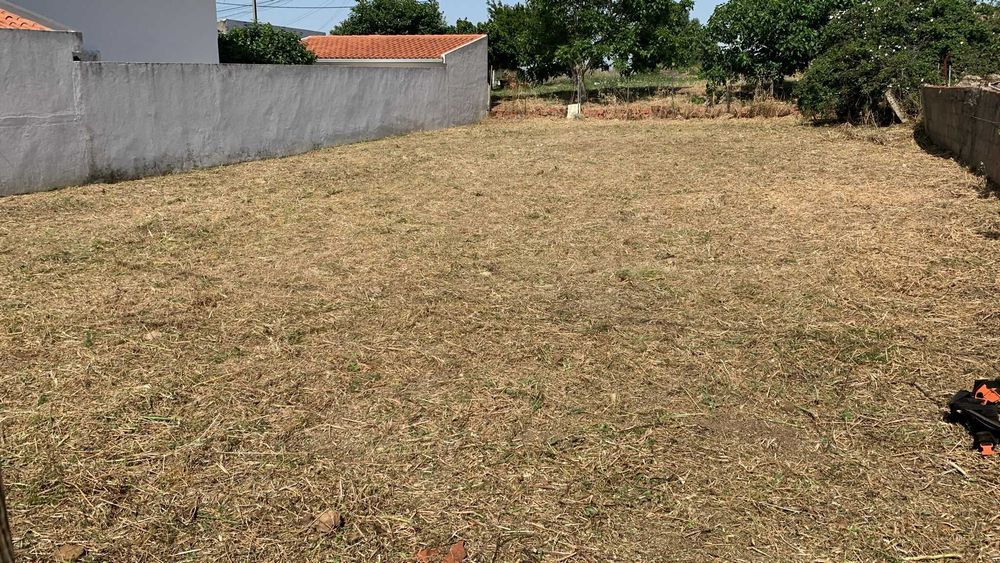 Serviços de limpeza de terrenos e quintal, corte de árvores de médio e pequeno porte