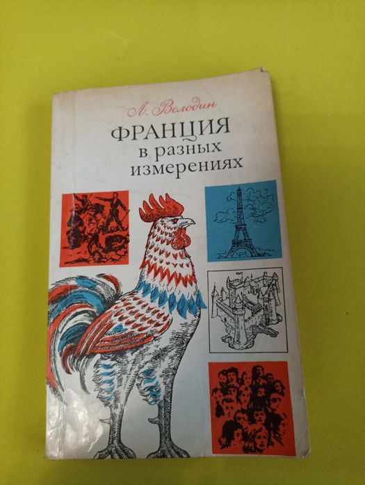 Володин Франция в разных измирениях.