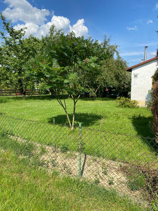 Ogródek działkowy działka Tarnów ROD Jaskółka Mościce - Widok 2