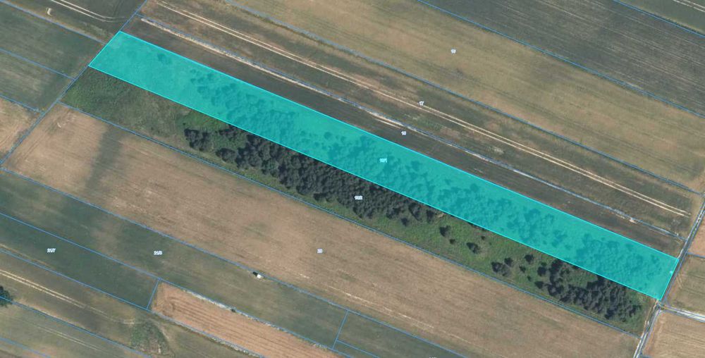 Działka rolna 1.006 ha Biała Błotna, Śląskie