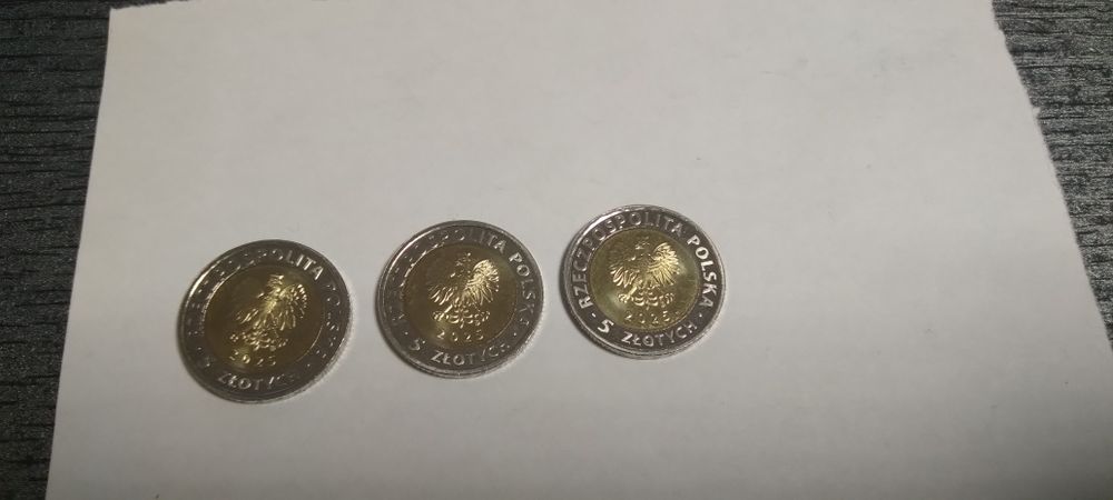 3 x 5 złotych Ratusz w Brzegu 2025