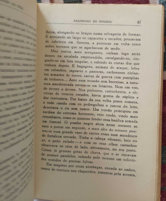 A cidade do vício, Fialho D'Almeida