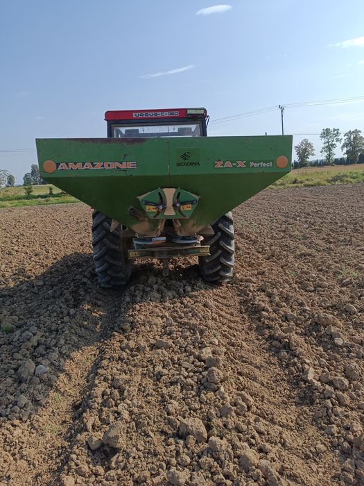 Rozsiewacz amazone