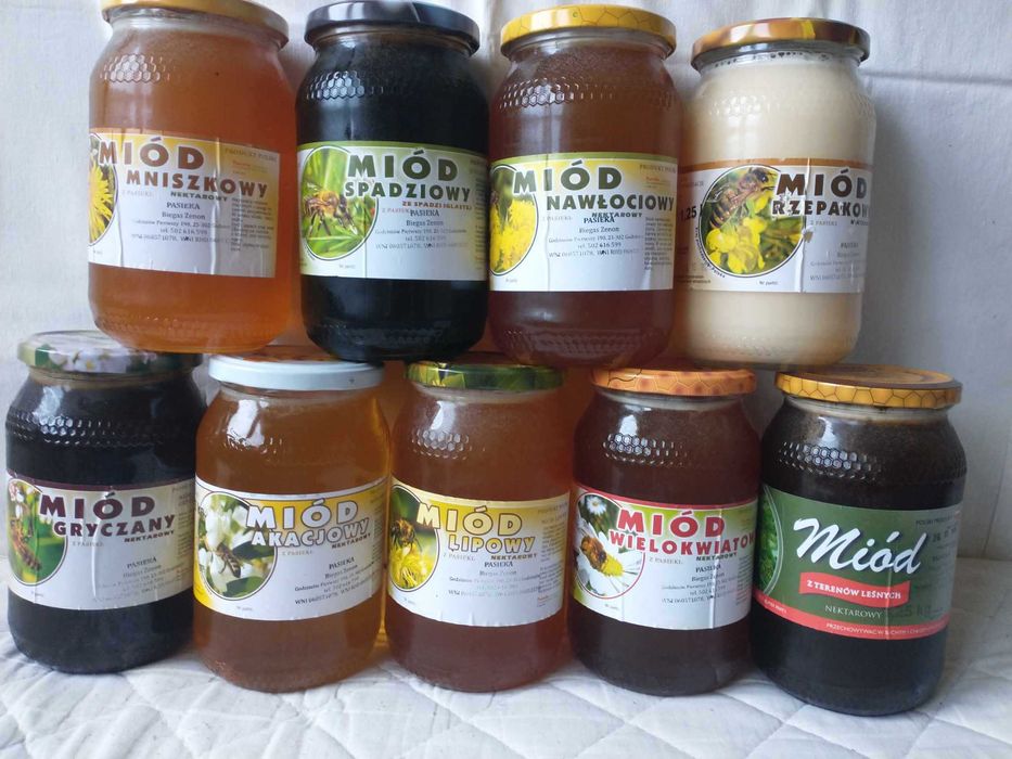 Żurawina leśna miód jagody dżem syrop sok