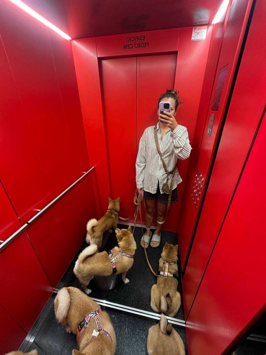 Serviços de Pet Sitting