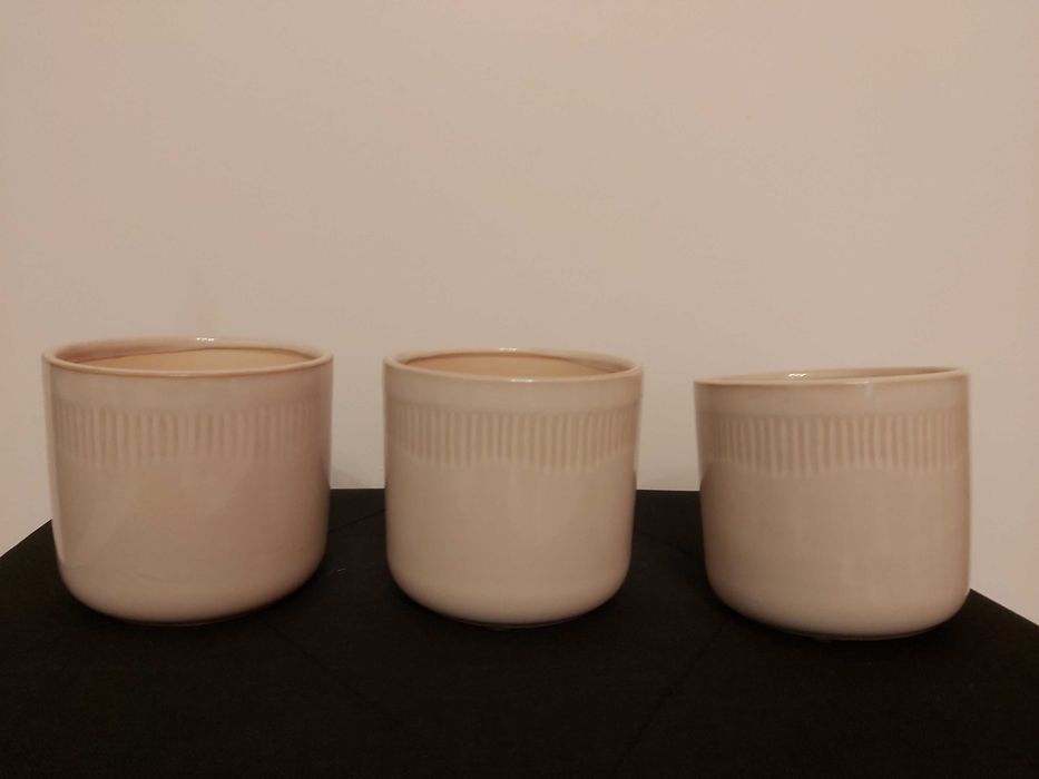 Conjunto 3 Vasos de plantas
