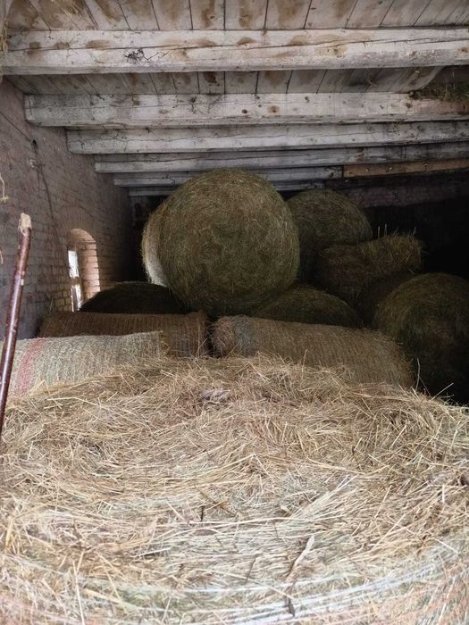 Sprzedam siano baliki