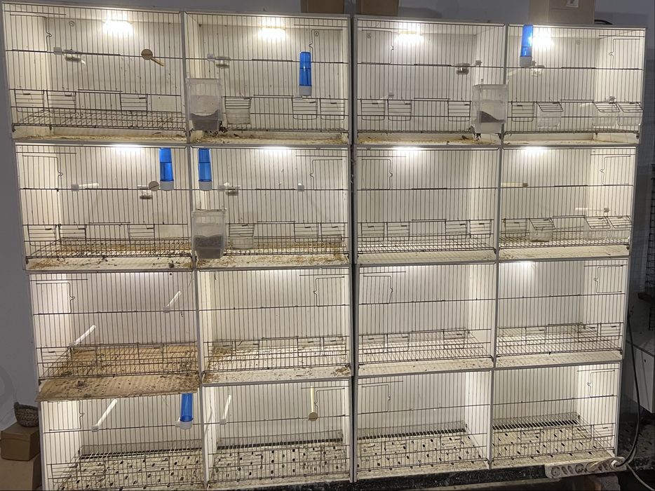 Viveiros PVC  para venda