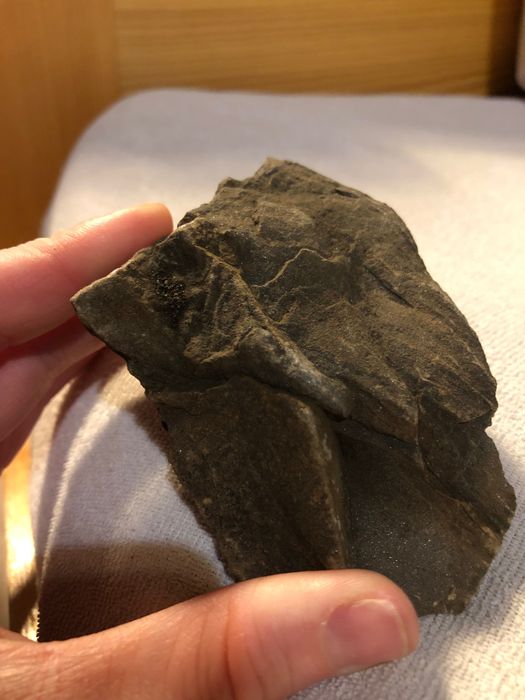 Deep Alpine Bronze