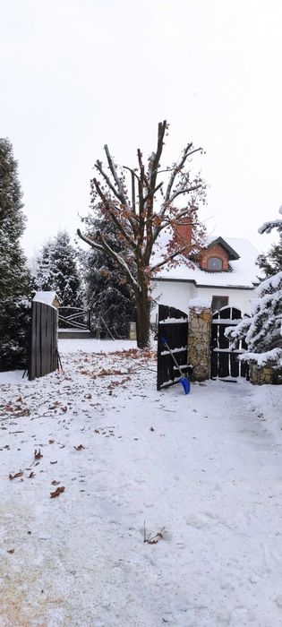 Wycinka i pielęgnacja drzew,  szybka realizacja, zabieramy gałęzie