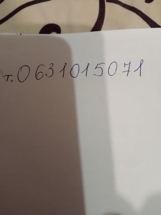 Дівчинка чіхуа довгошерста