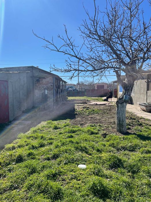 Продається будинок в Іллінці Одеської області