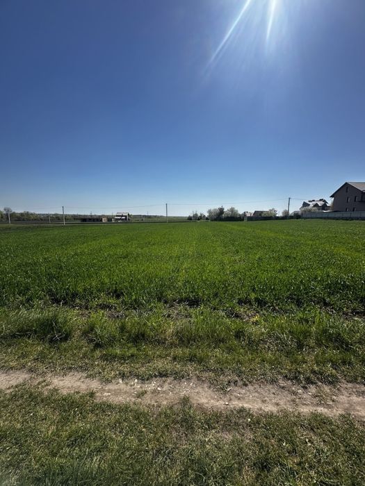 Продам земельну ділянку с.Великі гаї