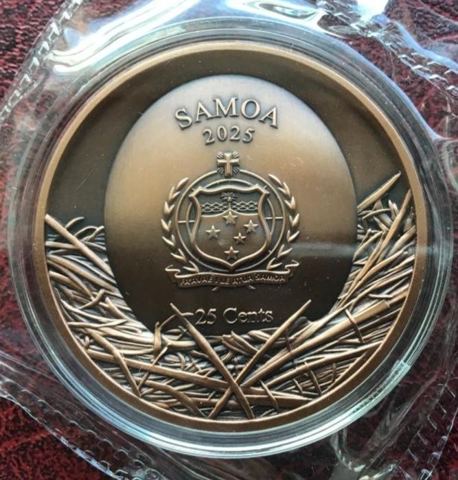 Монета Самоа 25 центів 2025 болотна (вухата) сова. Antique finish, ultra high relief