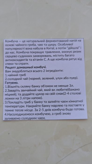 Камбуча, чайний гриб, scoby Ціна у разі оплати на карту