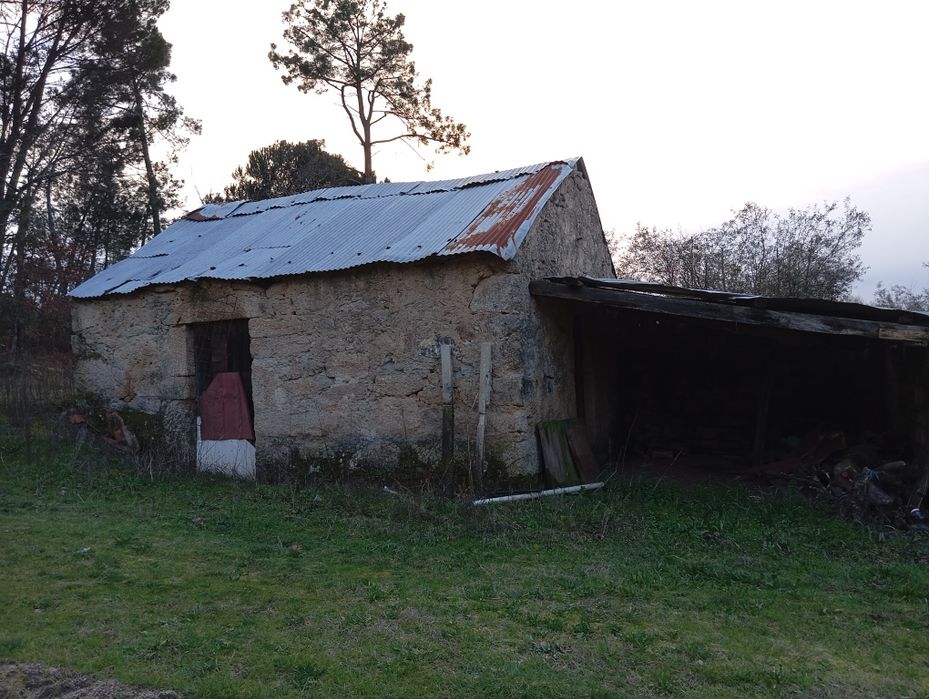 Terreno Agrícola - Vilar Seco