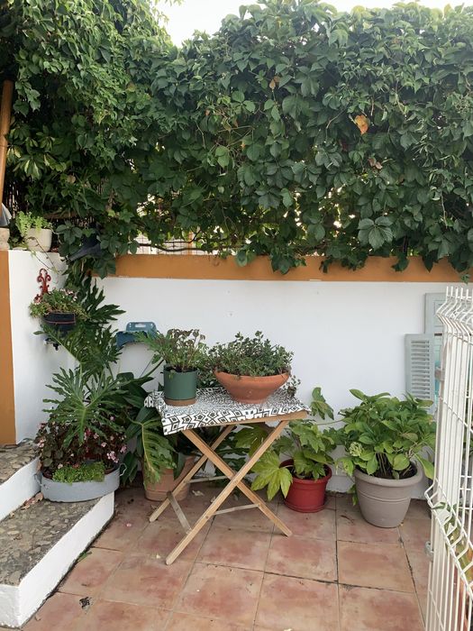 Férias em Azeitão. Aluguer de quartos.
