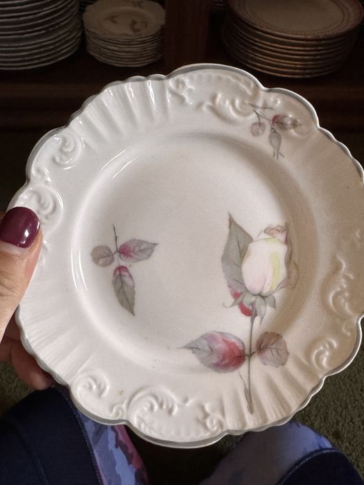 Serviço Vista Alegre (1947 a 1968)