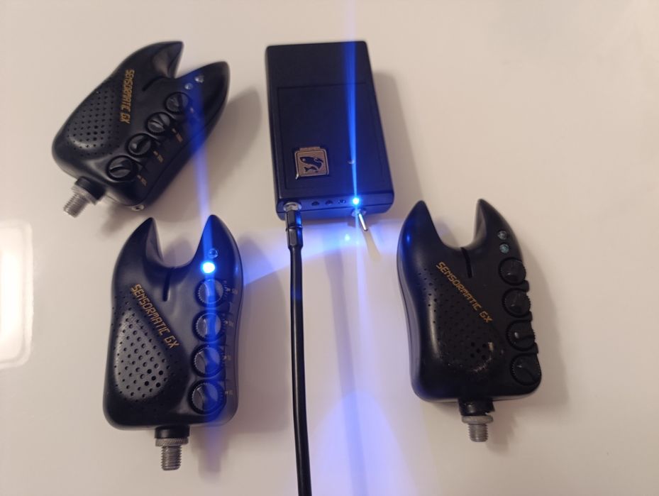 Sygnalizatory videotronic