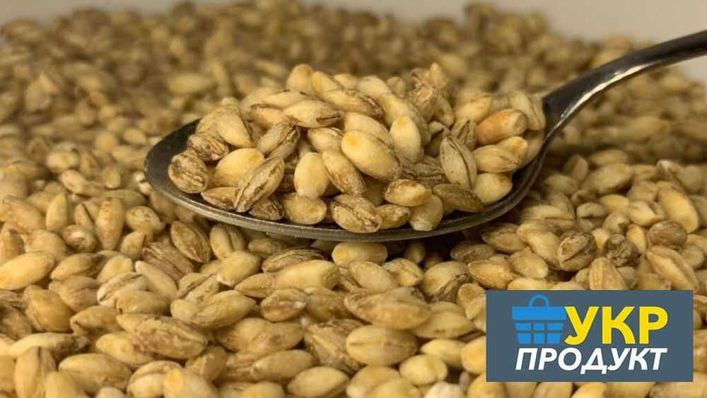 Крупа перлова та ячка  оптом
