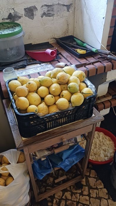 VENDO limoes novos