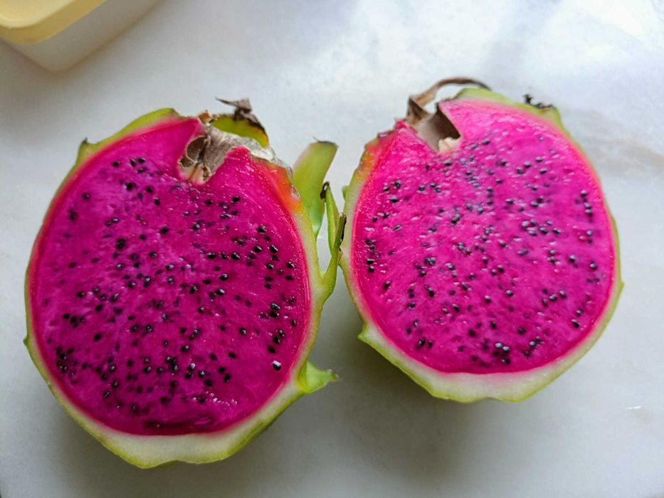 Estacas de Pitaya / Dragon Fruit / Fruta do Dragão