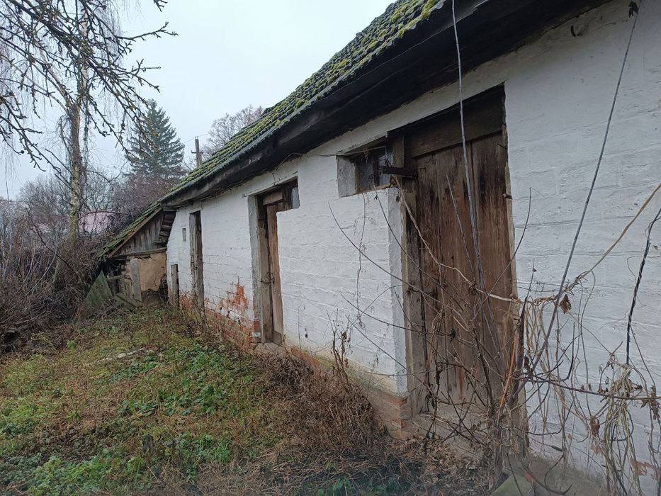 Продам будинок с. Великі Будища
