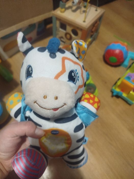 Przebojowa Zebra vtech