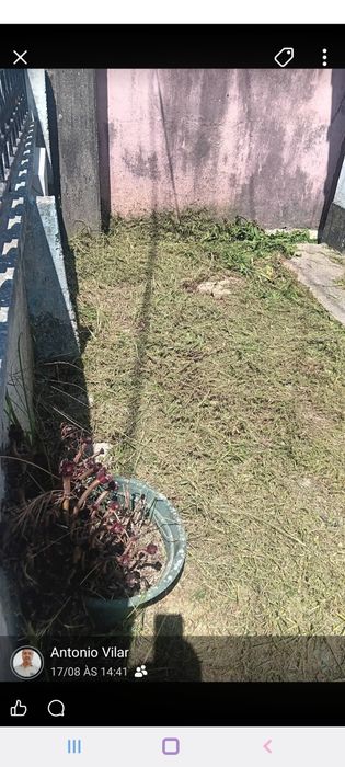 Serviços de jardinagem