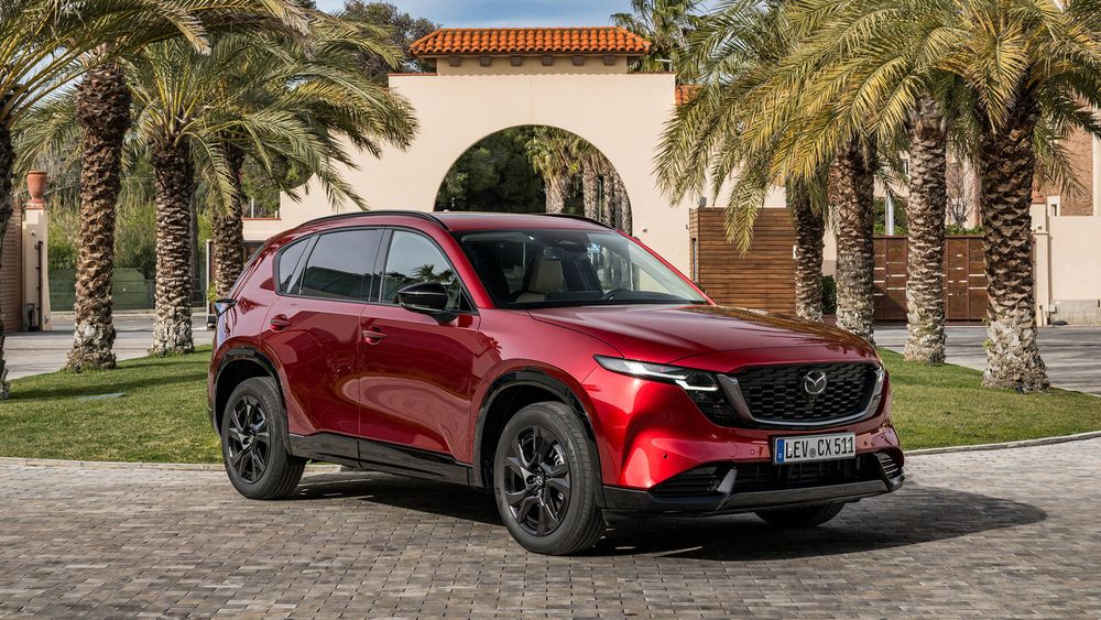 Zdjęcie w galerii numer 4