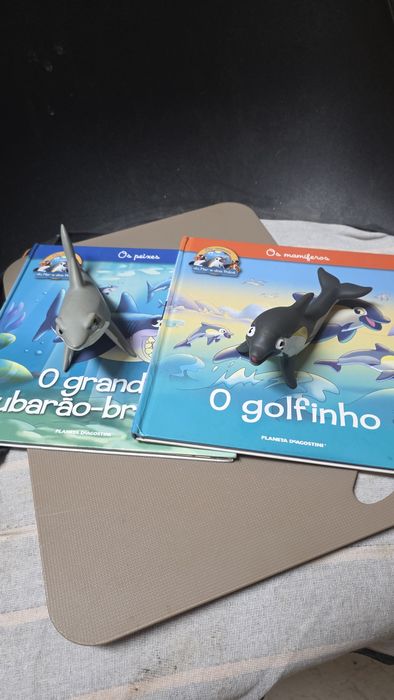 Livros com figuras