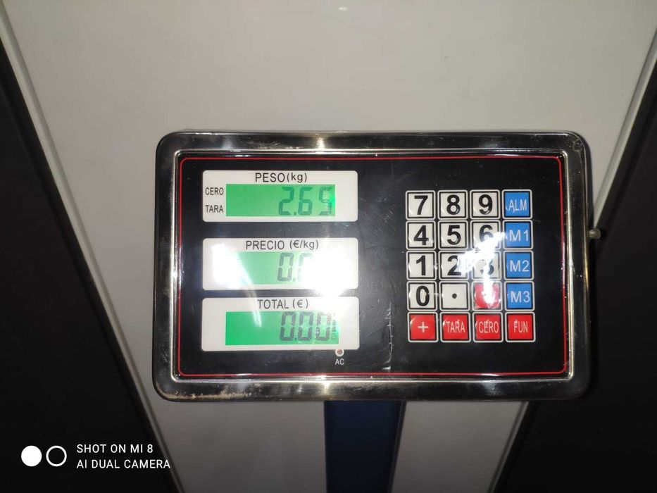 Balança Plataforma 40x50cm 150Kg em Aço NOVA