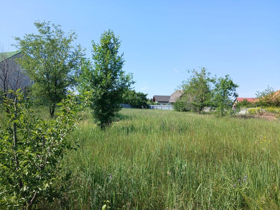 Продаж ділянки  Форум  Лесная земля участок В.Луг