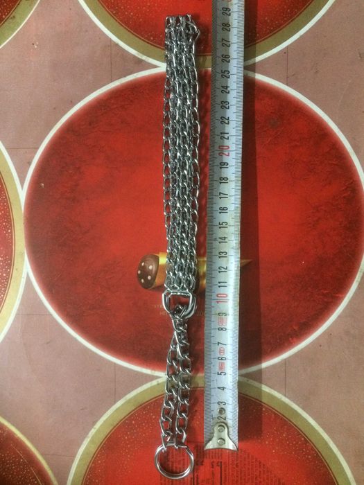 Собачий ошейник - удавка.