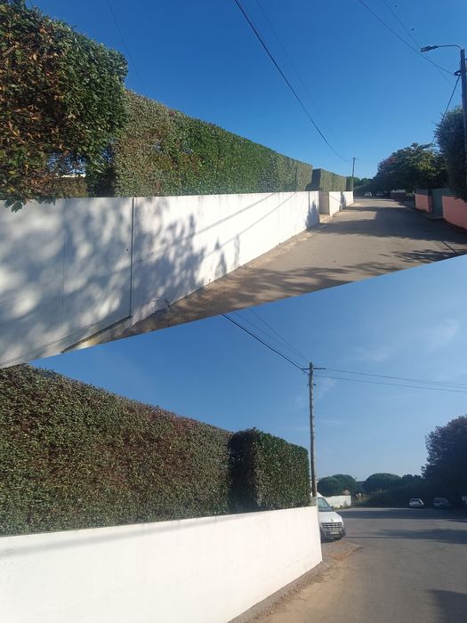 Limpeza de terrenos/ abate de árvores, terra/entulho