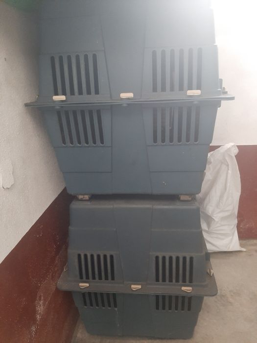 2 Caixas transportadoras caninos