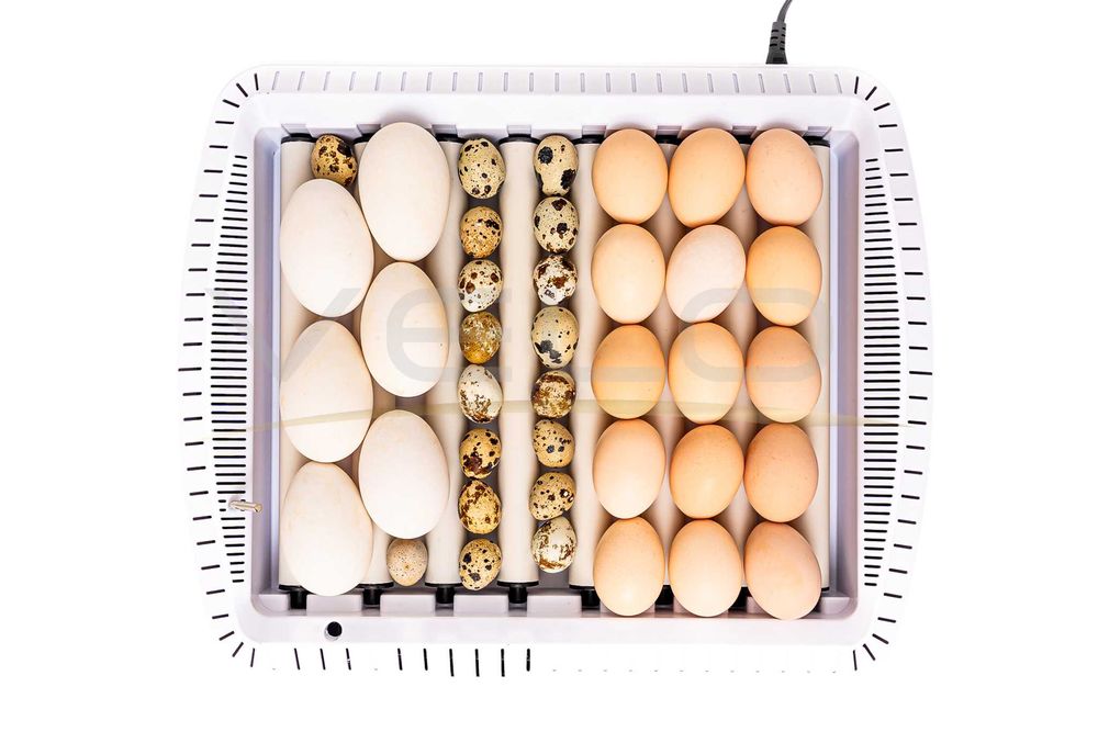 INKUBATOR AUTOMATYCZNY VELO na 35 JAJA do JAJ Indyczych Gęsich Kaczych