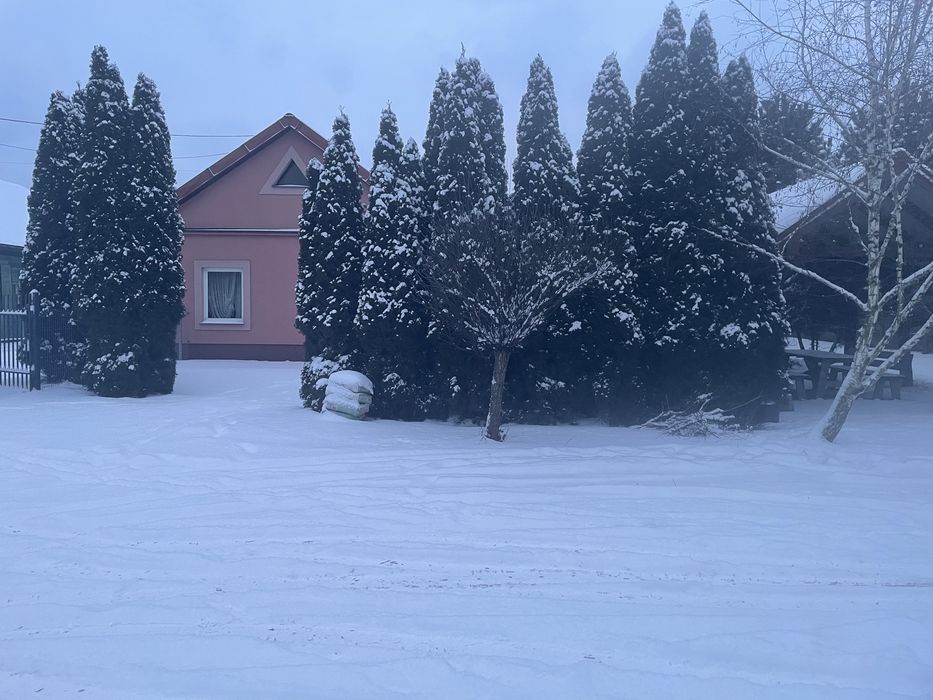 Dom do wynajmu dla pracownikow