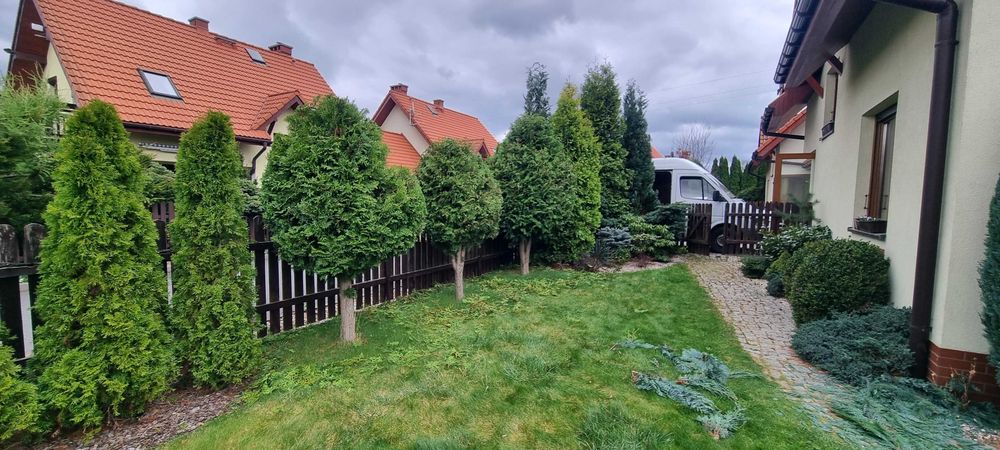 Cięcie i formowanie drzew owocowych. Pielęgnacja ogrodów  prace ogrodo