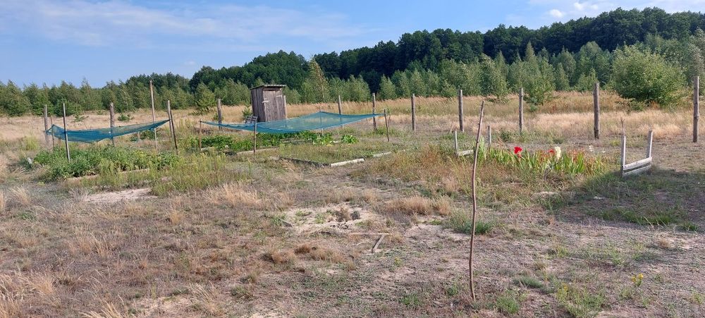 Земельна ділянка