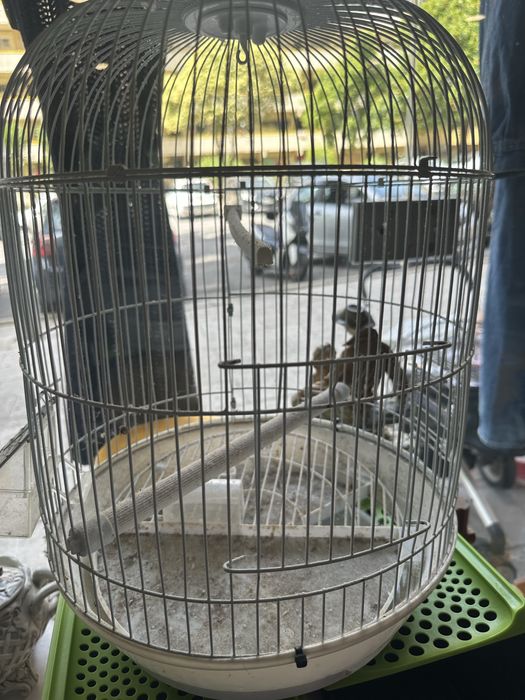 Gaiola para passaros