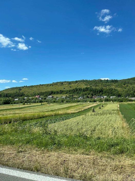 Будинок в селі Золота липа