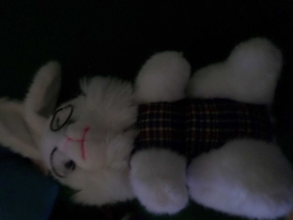 Peluche novo com etiqueta  /  outros